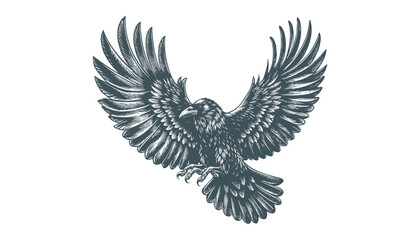 crow vector, raven vector