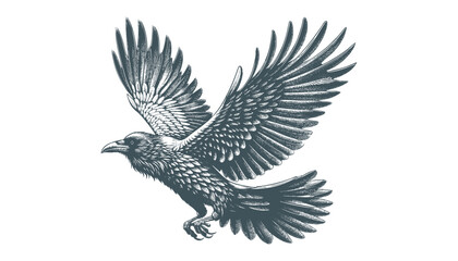 crow vector, raven vector