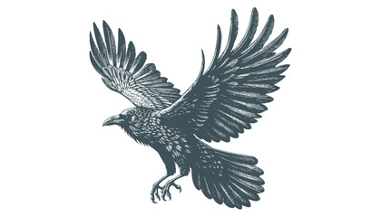 crow vector, raven vector