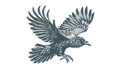 crow vector, raven vector