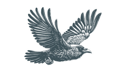 crow vector, raven vector