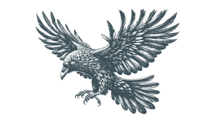 crow vector, raven vector