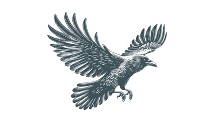 crow vector, raven vector