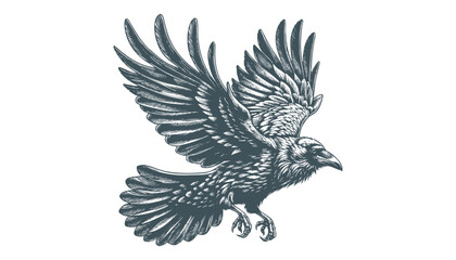 crow vector, raven vector