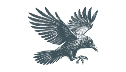 crow vector, raven vector