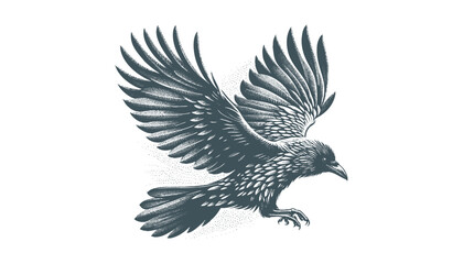 crow vector, raven vector