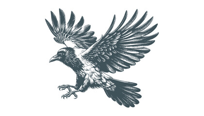 Obraz premium crow vector, raven vector