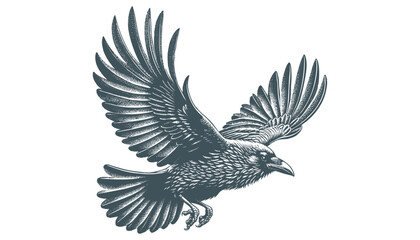 crow vector, raven vector