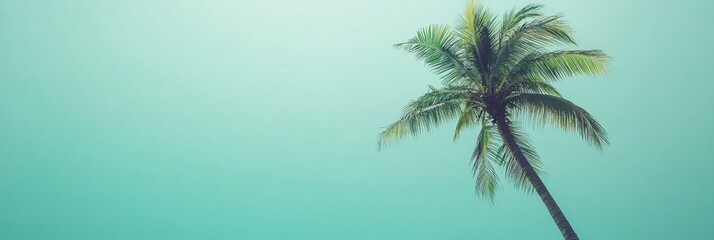 Naklejka premium Tropical beach with coconut palm tree and turquoise water creating a serene and inviting atmosphere for relaxation. Generative AI