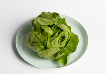Butterhead lettuce on a green plate.