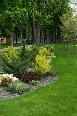 Fototapeta premium A well-maintained, lush green park area featuring a variety of shrubs, small plants, and trees. Serene Urban Oasis