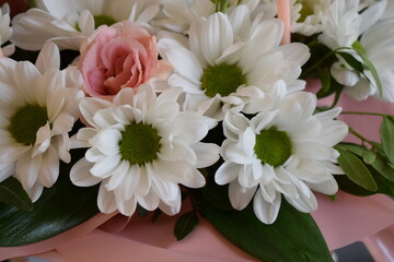 Elegant Mix of Chrysanthemums and Daisies