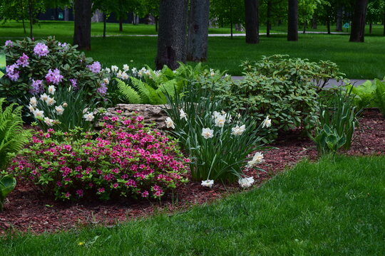 A well-maintained garden with various plants and flowers. Purple and White Flourish