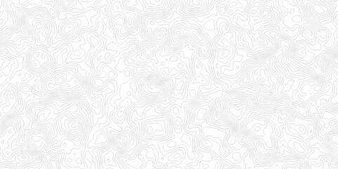 White topography topology vector white background fresh contour map texture. white seamless pattern Abstract background with a wave Topography and geography map grid abstract backdrop.