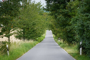 Straight asphalted road going downhill with trees making an  alley and white street poles on the side, North Rhine-Westphalia, Germany