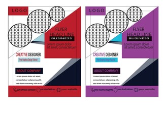 Business Flyer & creative corporat brochure. Template  design. And  modrn business flyer  template an editabie veetor template business flyer design.