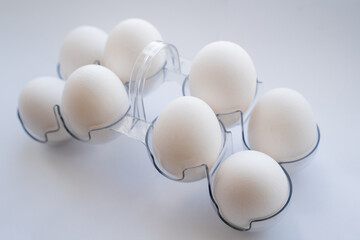 chicken eggs white on egg stand on white background