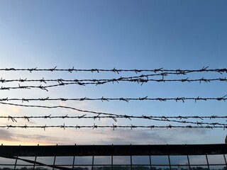 Barbed wire fence with clear blue sky