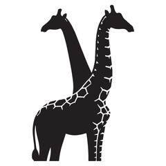 Giraffes on the field 