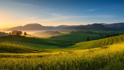 Fototapeta premium lush green rapeseed fields rolling across hilly countryside landscape at sunrise with misty mountains in the background