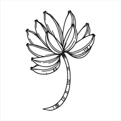 Single one line Banana branch with banana silhouette on white background
