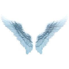 Fototapeta premium Elegant Angel Wings, Isolated on White Background