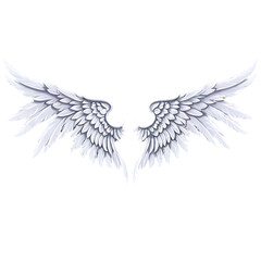 Fototapeta premium Elegant Angel Wings, Isolated on White Background