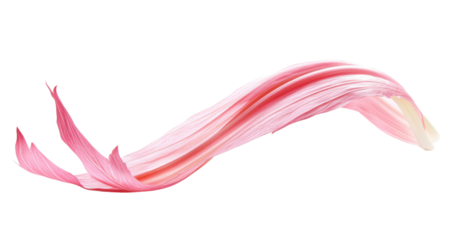 red feather on white background - Powered by Adobe