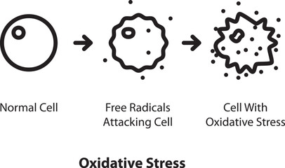 Oxidative Stress icon , vector illustration