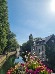 Flowers and a house near a canal in  Strasbourg, France.