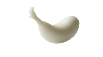 white egg with feather