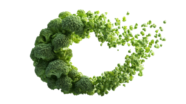 green moss on white background