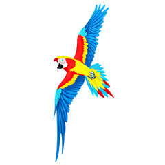 Obraz premium Vibrant Macaw Parrot with Colorful Plumage, Isolated on White Background