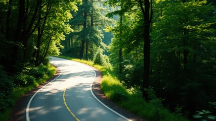 Obraz premium Scenic Winding Road Through Lush Green Forest Canopy