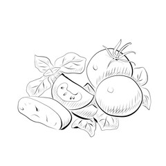Line drawing. Line art of food - salad with greens and tomatoes.