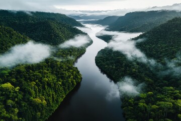 Fototapeta premium A stunning view of the Amazon River winding through the dense rainforest