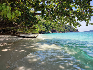 turquoise sea shore, with green vegetation, on a branch of a large tree swing over the water, for a poster, postcard