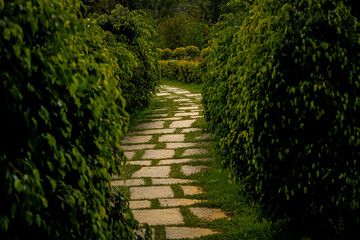 stone path in the park
