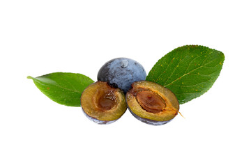 fresh plum with slice and leaves on white 