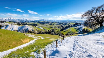 Scenic winter landscape with snow-covered hills, paths, and tree under blue sky