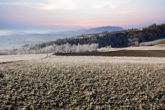 brina sui campi e sulle colline parmensi in una mattina d'inverno