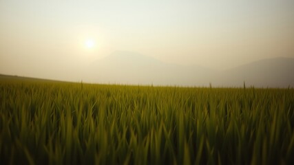 Serene sunset over a field of vibrant green grass, gently swaying in the warm evening breeze