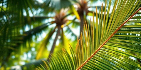 Fototapeta premium Vibrant Palm Frond Close-up with Defocused Tropical Background