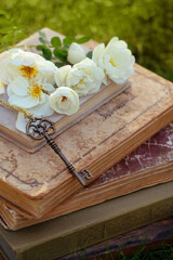 vintage key, old books and white wild rose flowers in summer garden. love of reading, Literature, knowledge concept. inspiration atmosphere image. symbol of secret garden, romance