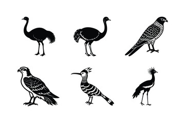 vector illustration of a set of icons