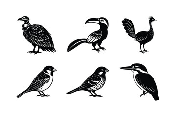 vector illustration of a set of icons
