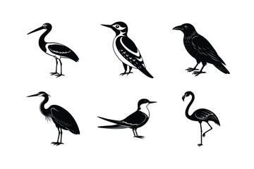 vector illustration of a set of icons