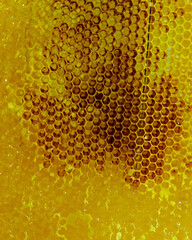 close up of beer bubbles