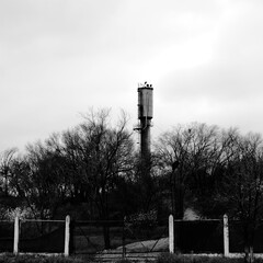black and white bench