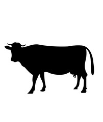Cow clip art design on plain white transparent isolated background for card, shirt, hoodie, sweatshirt, apparel, card, tag, mug, icon, poster or badge